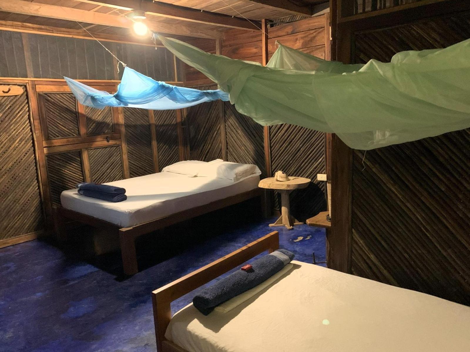 パロミノ Chez Olivヴィラ エクステリア 写真